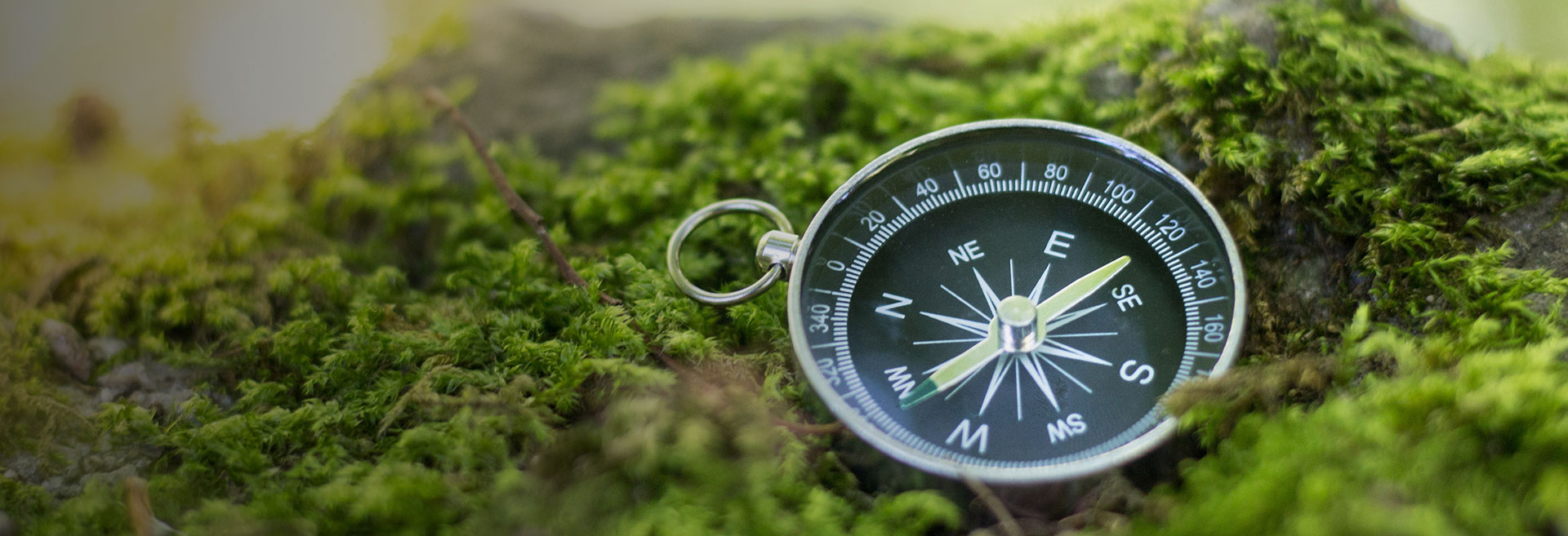 cfc-header-methoden-coaching-alt